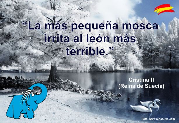 La más pequeña mosca irrita al león más terrible.